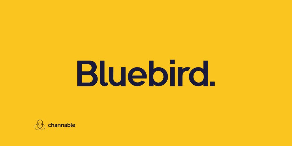 Bluebird Media : gain de temps et meilleures performances